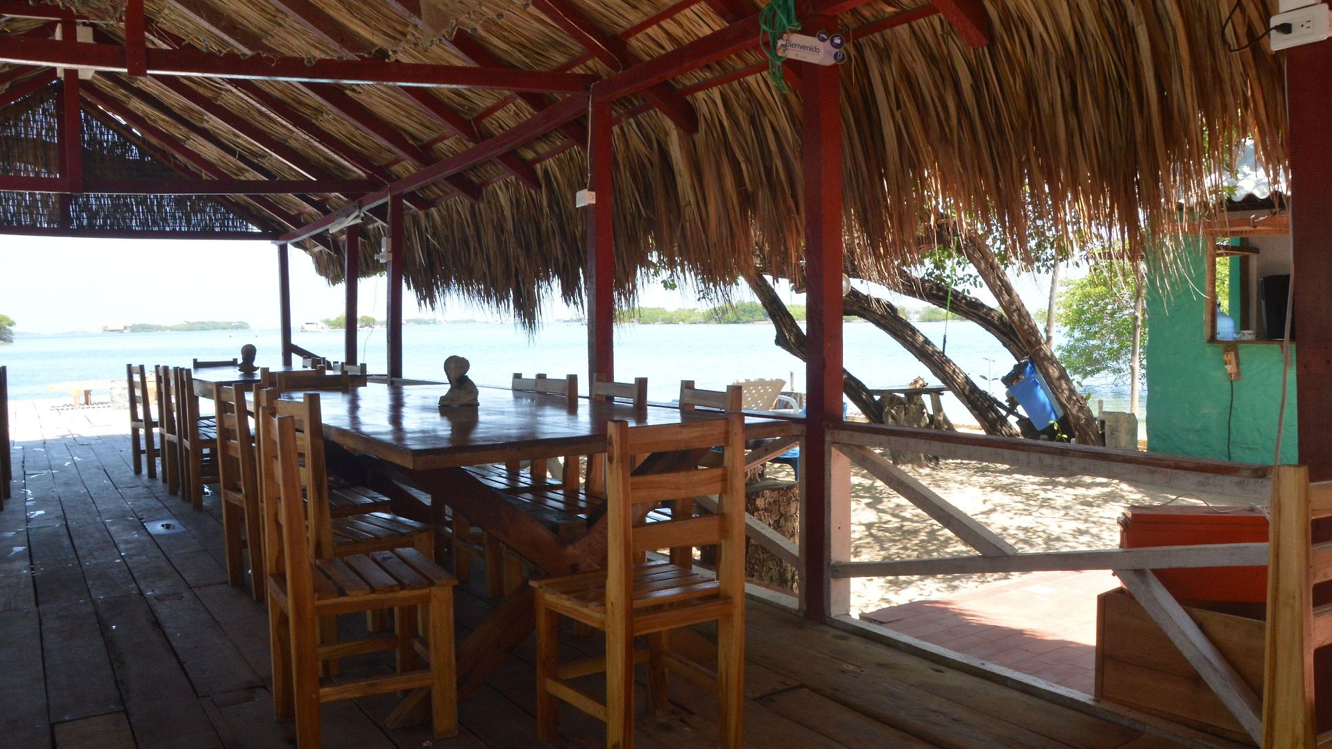 Eco Erizos Cartagena