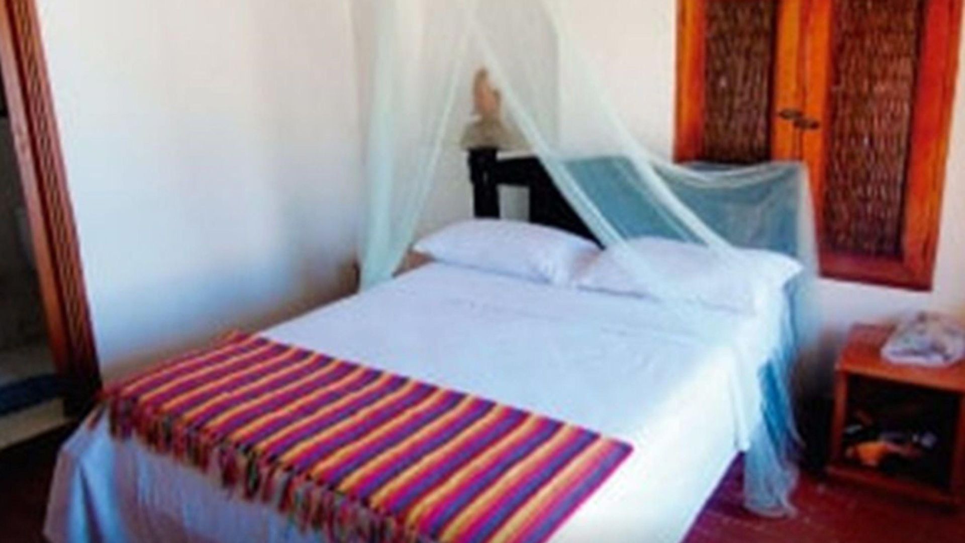 Eco Erizos Cartagena