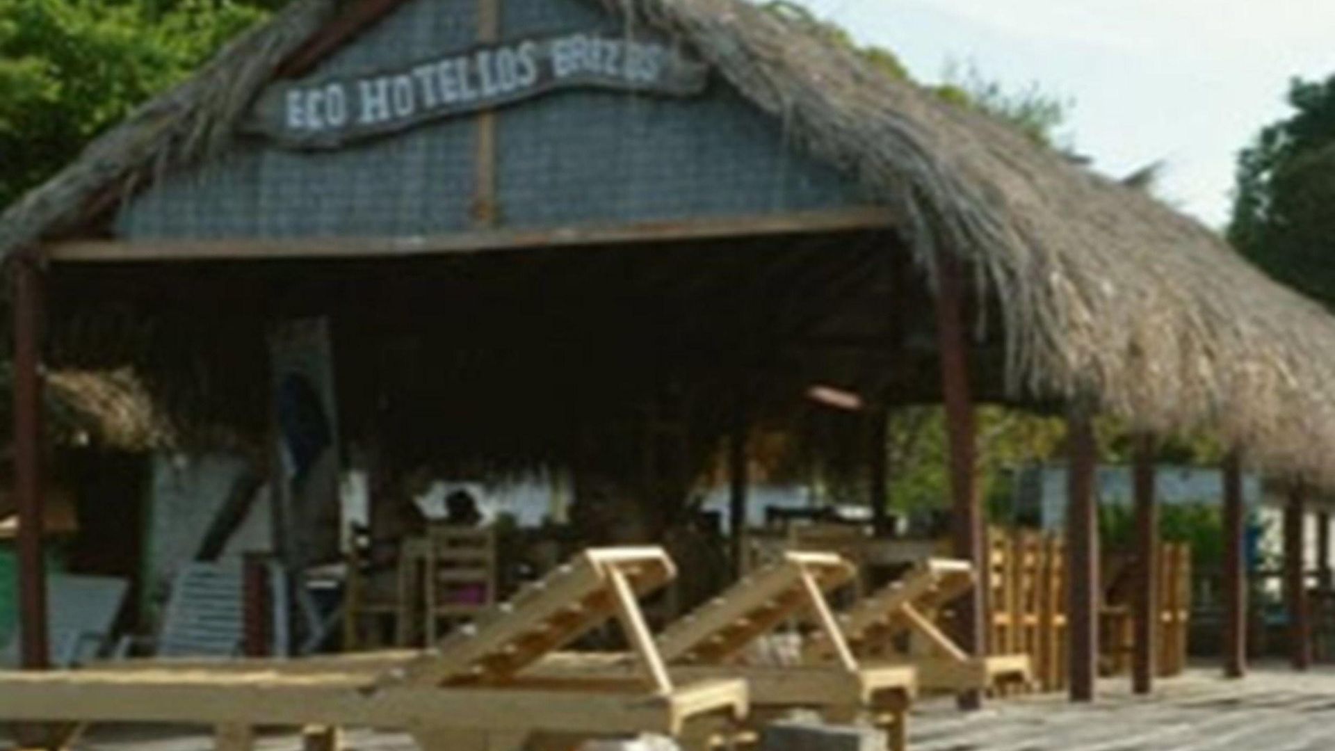 Eco Erizos 2*