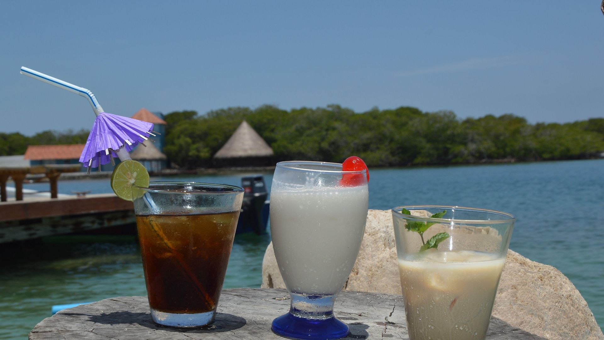 Eco Erizos 2* Cartagena