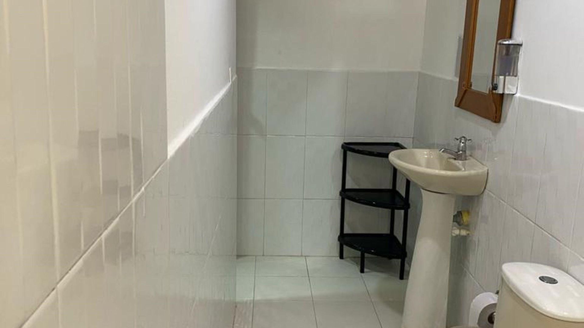 Eco Erizos 2*