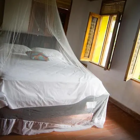 Eco Erizos Cartagena