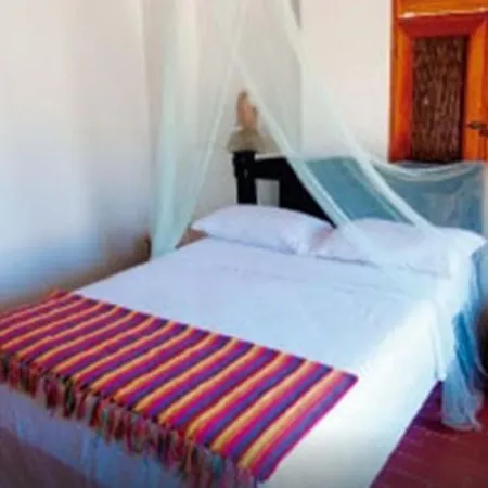 Eco Erizos Cartagena