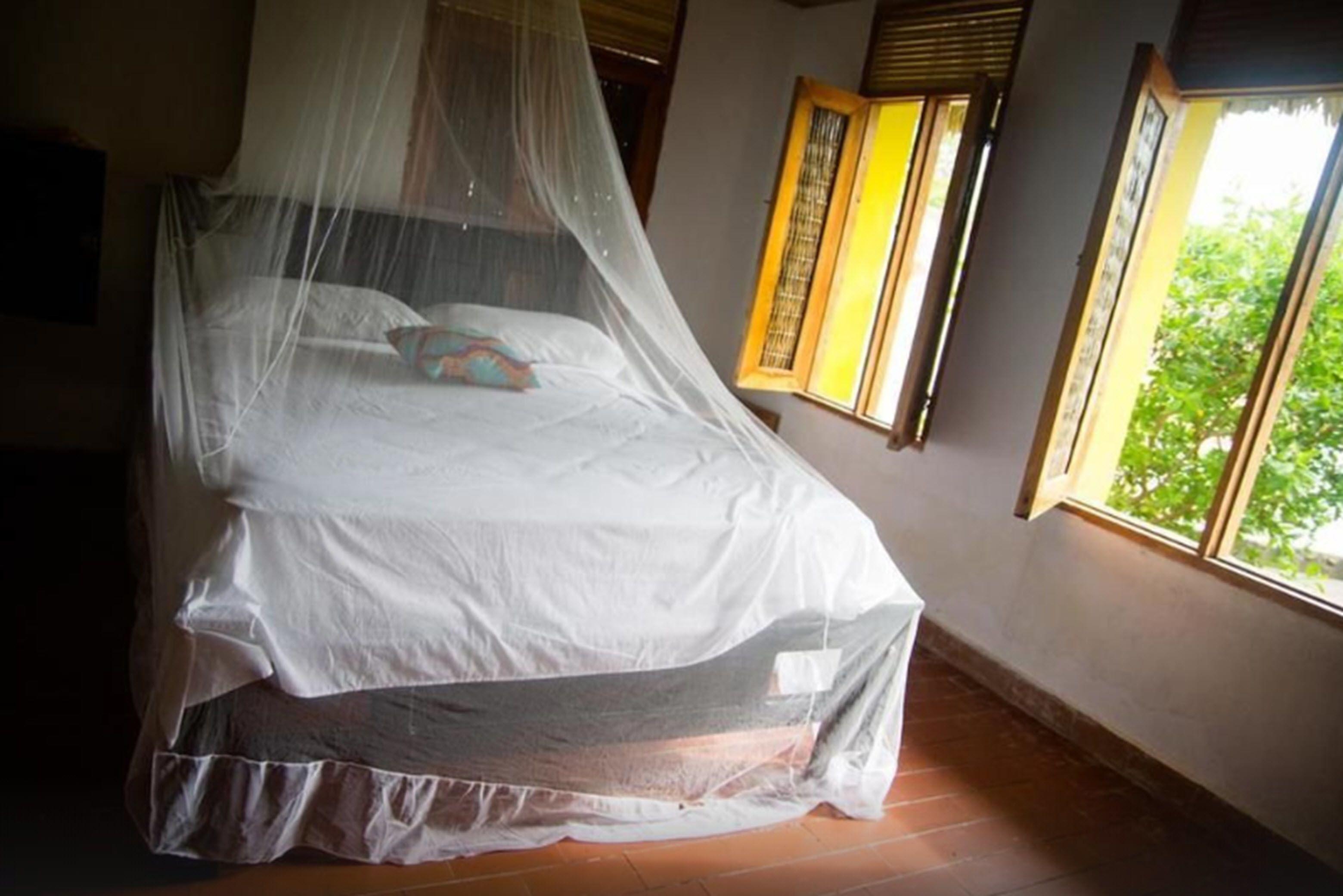 Eco Erizos Cartagena