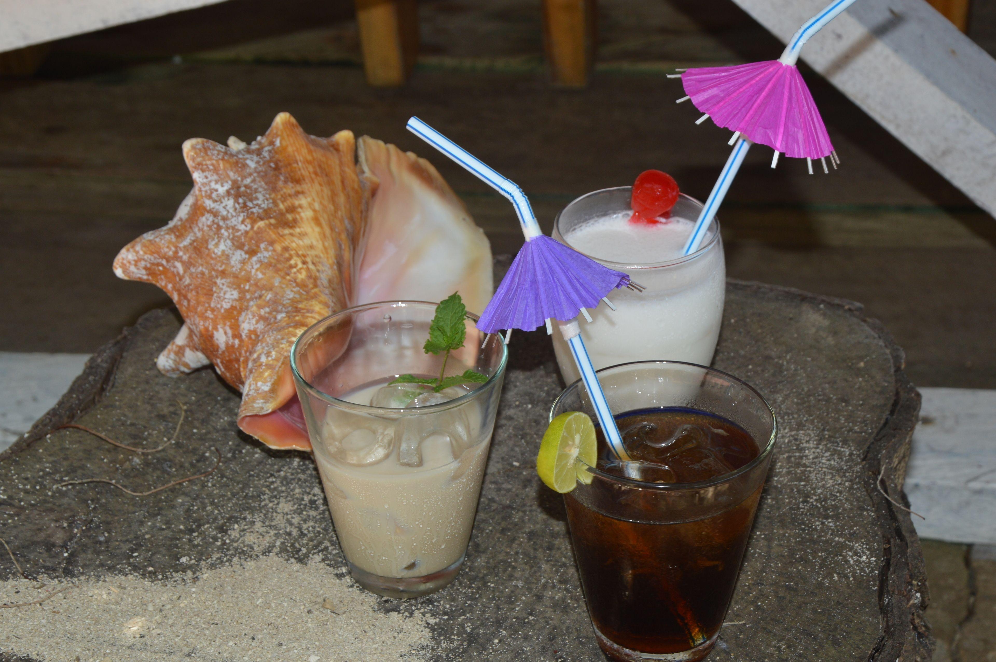 Hotel Eco Erizos Cartagena